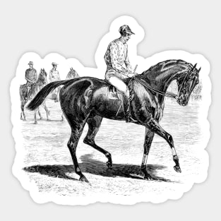 Racing Horse Black & White Vintage Illustration Sticker